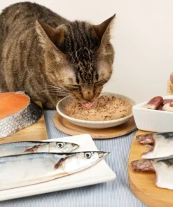 Alternative view of 汪喵星球-挑嘴貓無膠主食罐(80g)