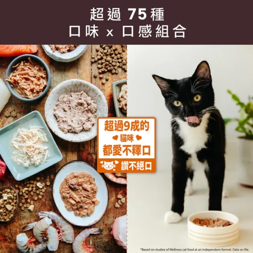 Wellnee core SS名廚特選主食罐(5.3oz)